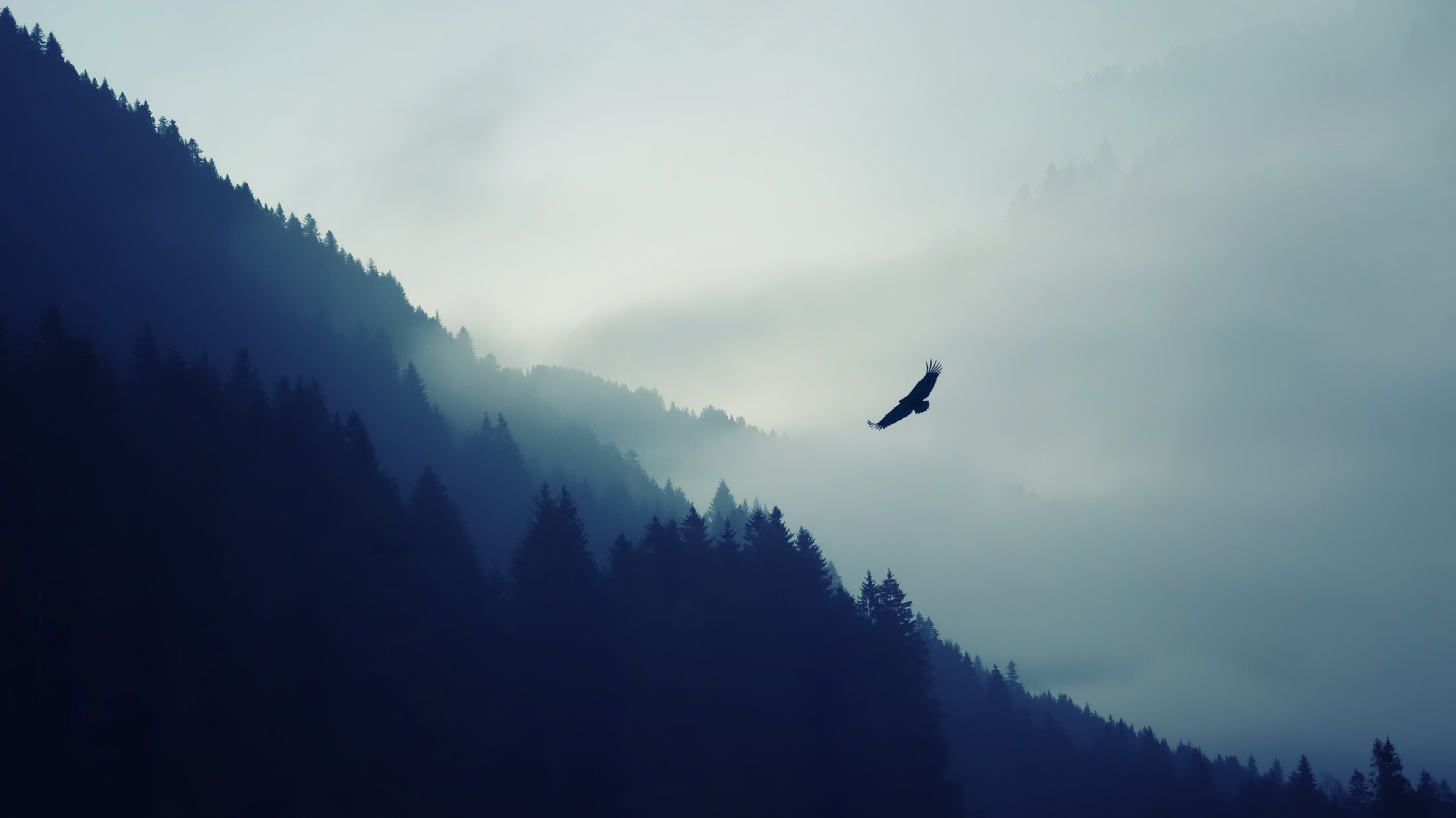 nature_mountain_eagle_fog_landscape_ultrahd_4k_wallpaper_3840x2160.jpg