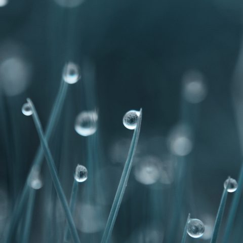 bokeh_Water_Drops_grass_3840x2160.jpg